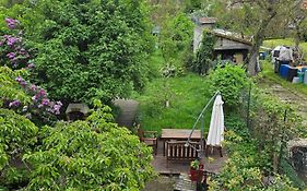 Appartement Avec Jardin A Colmar