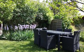 Appartement Avec Jardin A Colmar